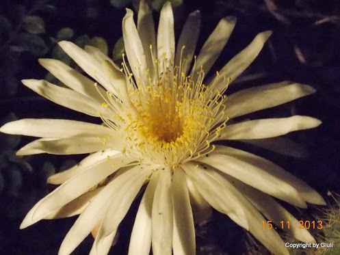 DSCN1357.JPG
