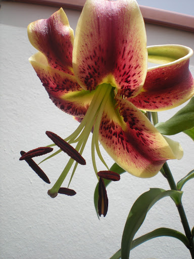 DSCN1358.JPG
