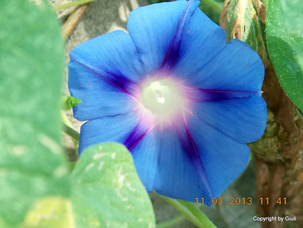DSCN1362.JPG