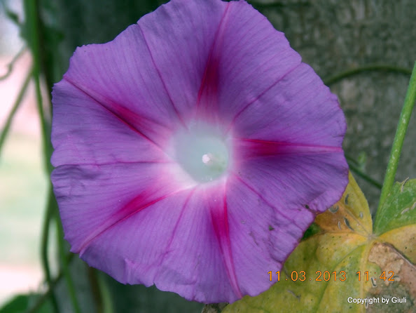 DSCN1363.JPG