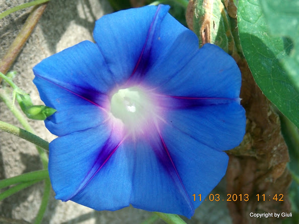 DSCN1365.JPG
