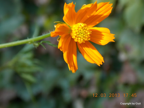 DSCN1368.JPG