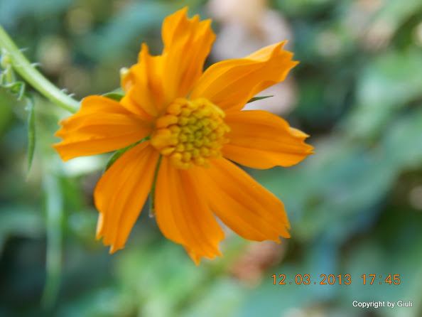 DSCN1370.JPG
