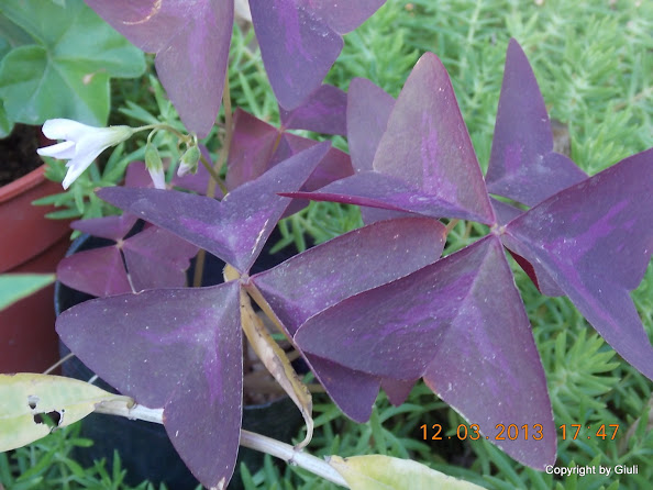 DSCN1377.JPG