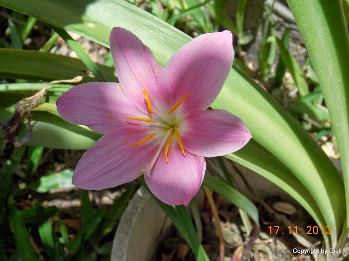 DSCN1378.JPG
