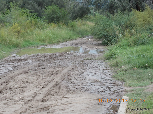 DSCN1382.JPG