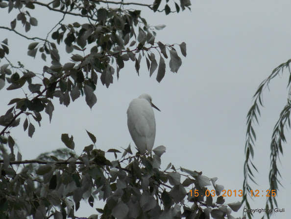 DSCN1386.JPG