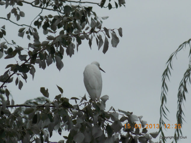 DSCN1386.JPG