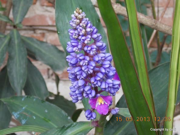 DSCN1397.JPG