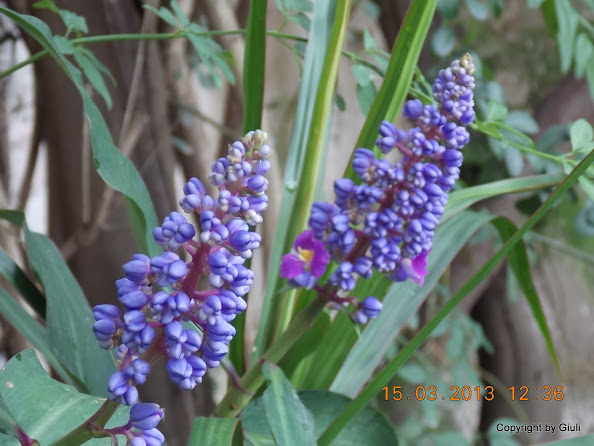 DSCN1398.JPG