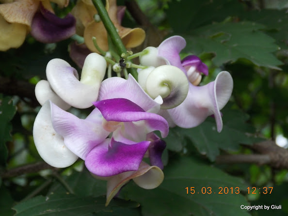 DSCN1399.JPG
