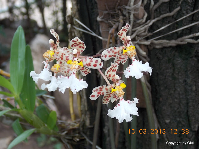 DSCN1400.JPG