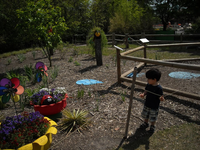 DSCN1402.JPG