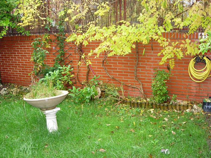 DSCN1403 reducida.jpg