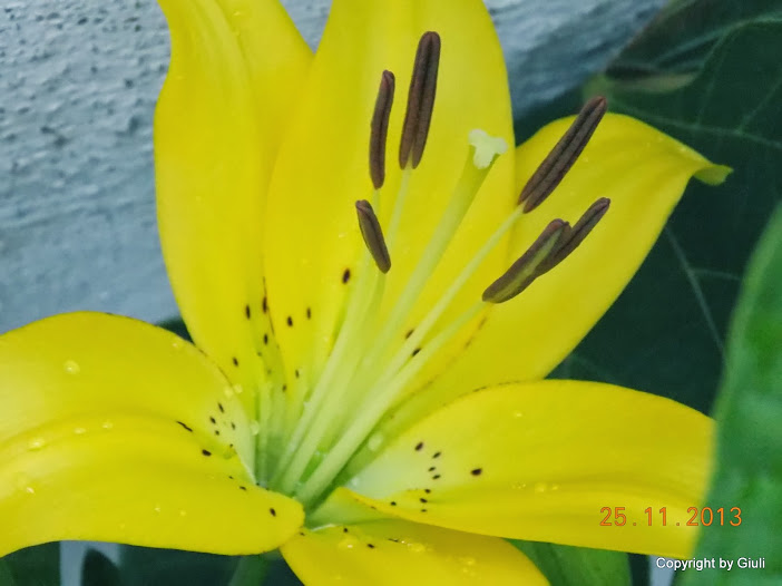DSCN1414.JPG