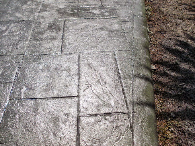 DSCN1417.JPG