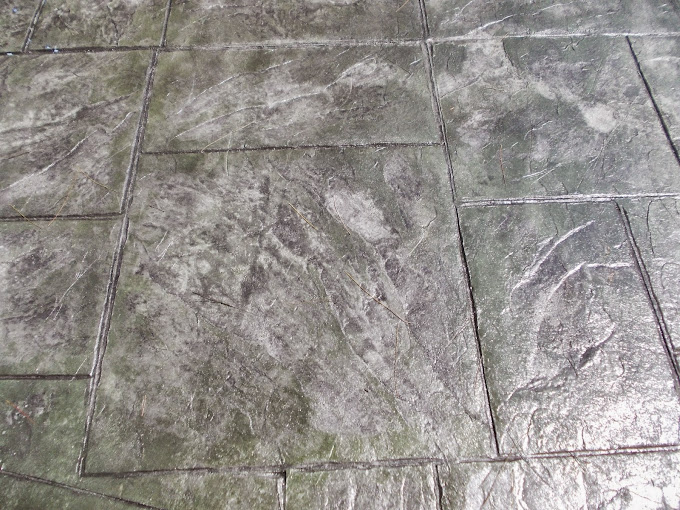 DSCN1418.JPG