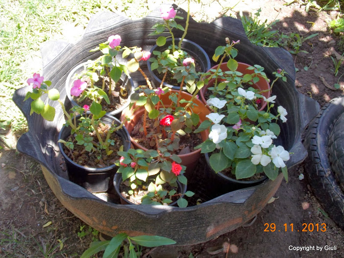 DSCN1424.JPG