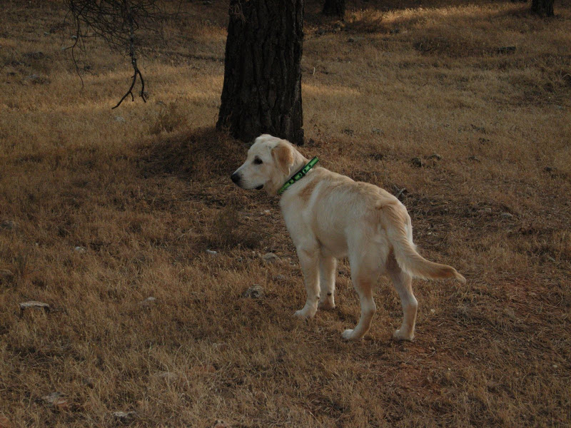 DSCN1427.JPG