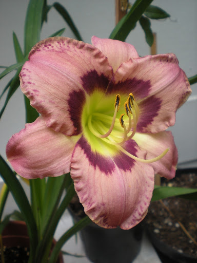 DSCN1431.JPG