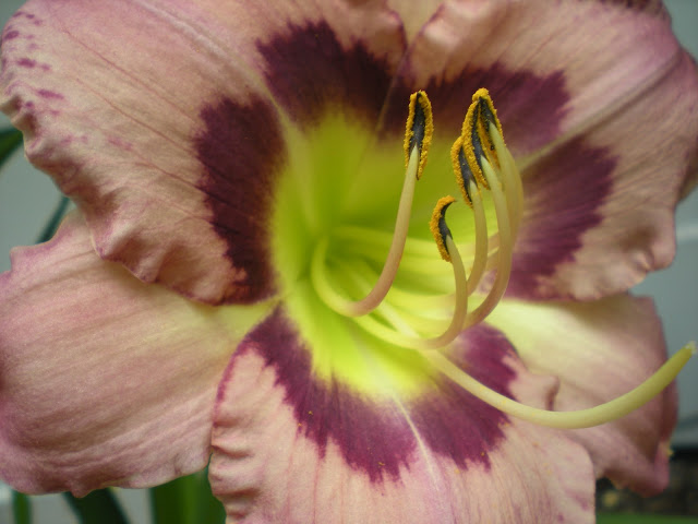 DSCN1433.JPG
