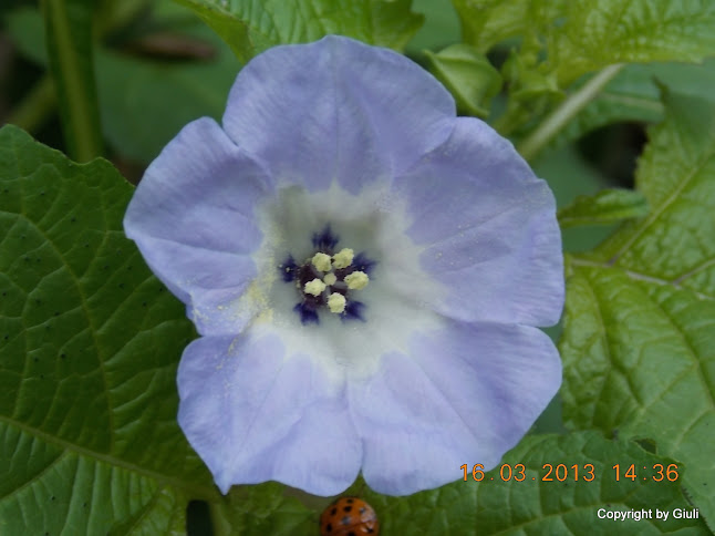 DSCN1433.JPG