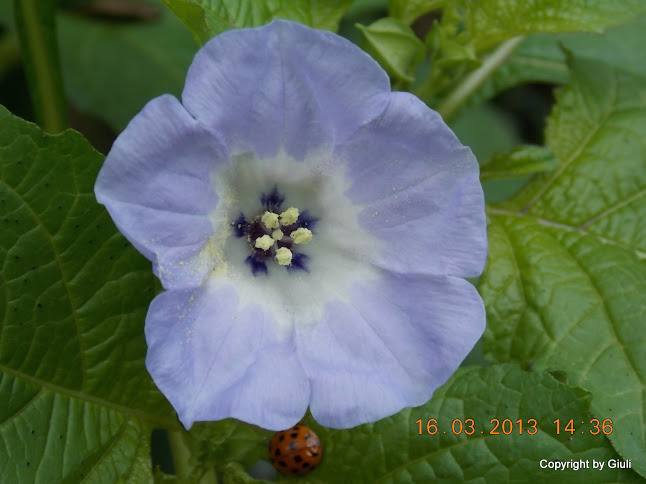 DSCN1434.JPG