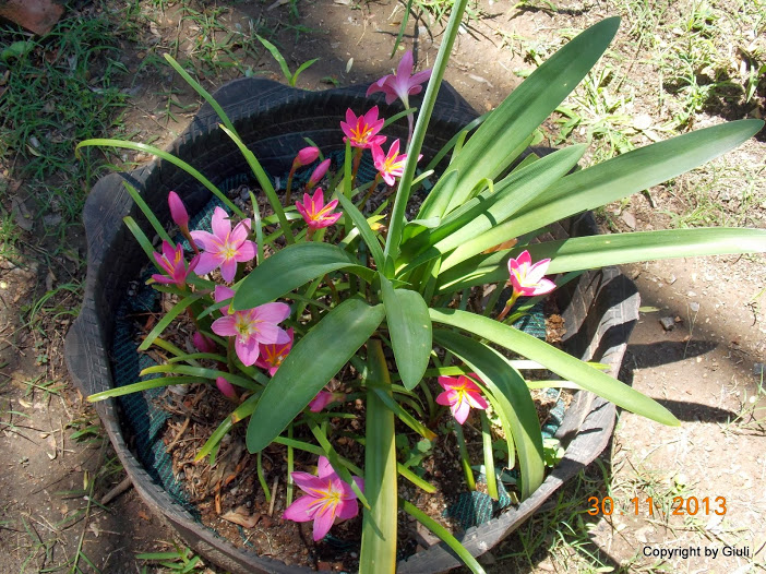 DSCN1435.JPG