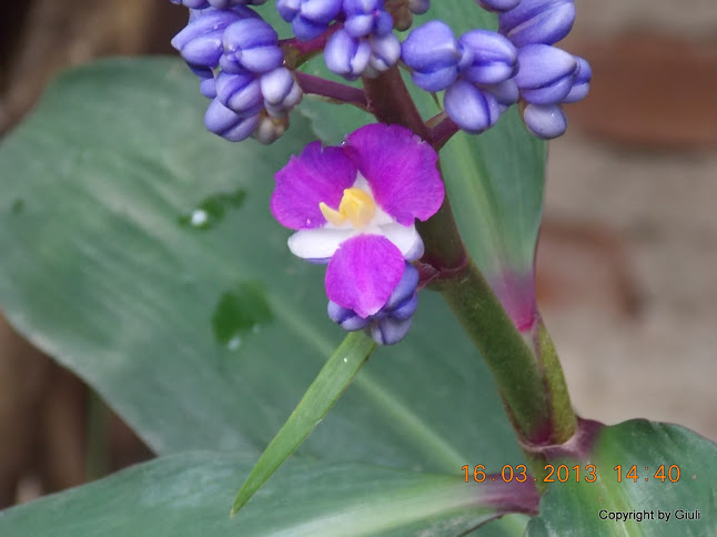 DSCN1439.JPG