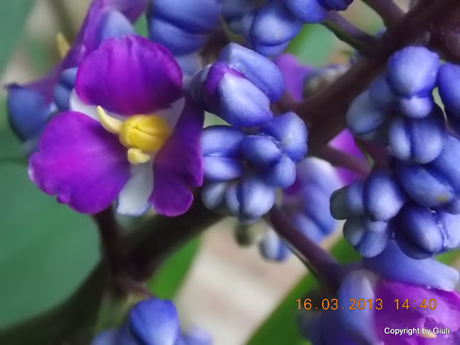 DSCN1442.JPG