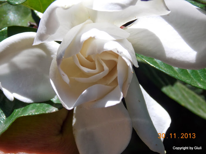 DSCN1443.JPG