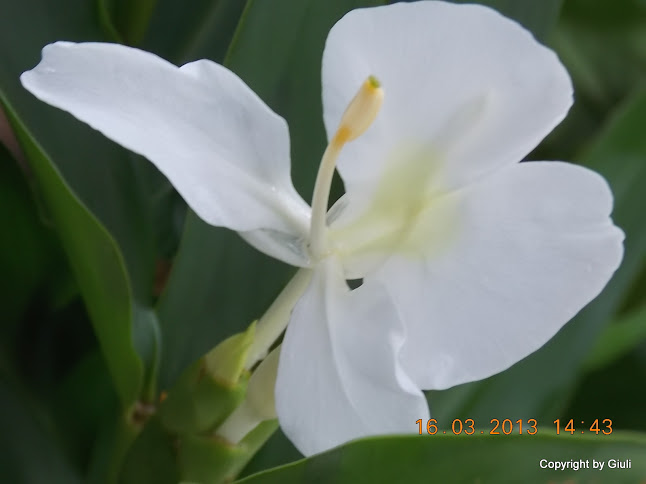 DSCN1448.JPG