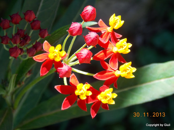 DSCN1448.JPG
