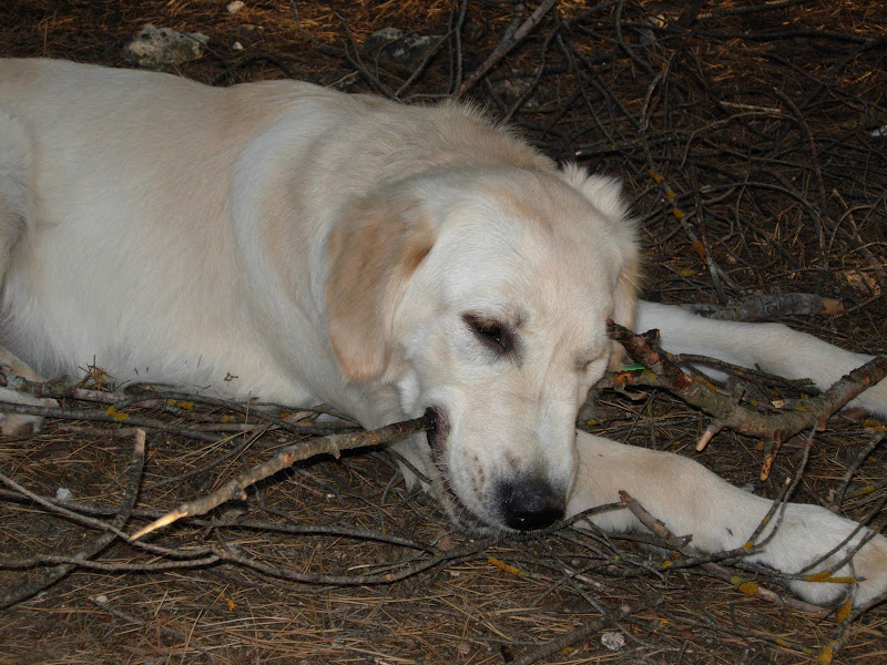 DSCN1451.JPG