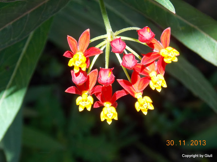 DSCN1451.JPG