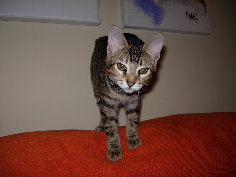 DSCN1465.JPG