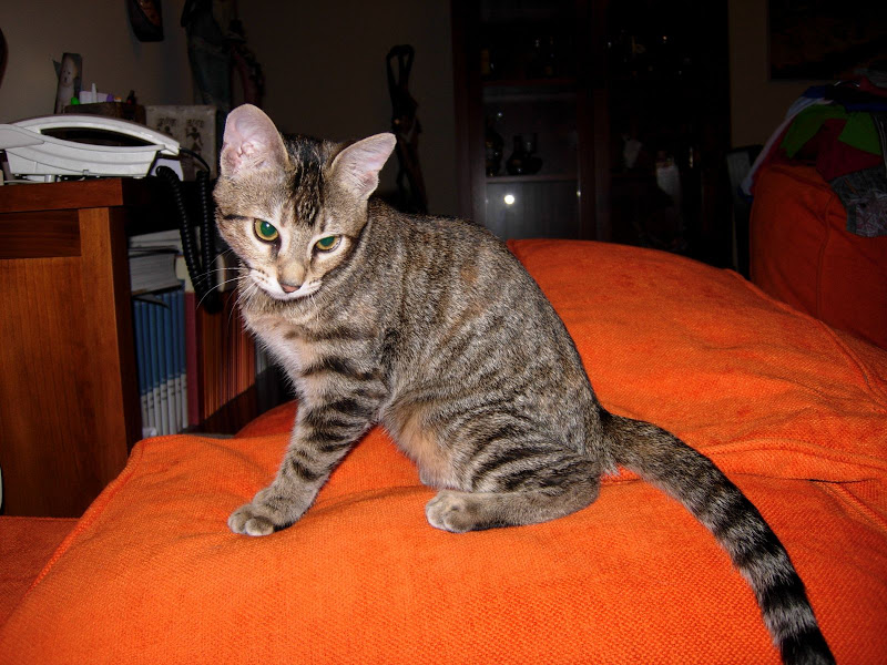 DSCN1466.JPG