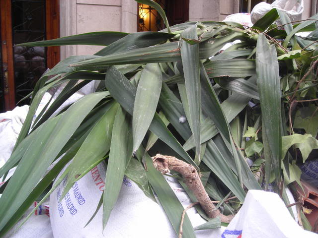 DSCN1467.jpg