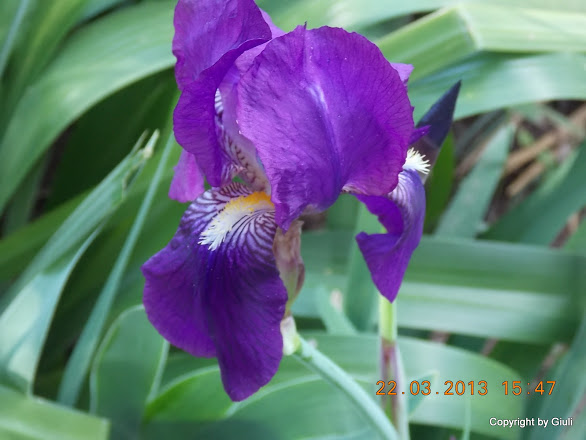 DSCN1468.JPG