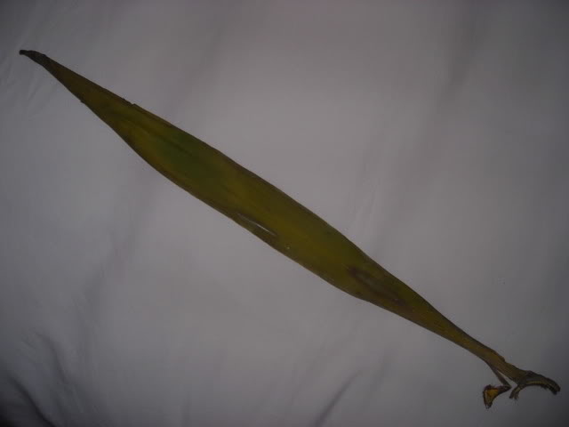 DSCN1469.jpg