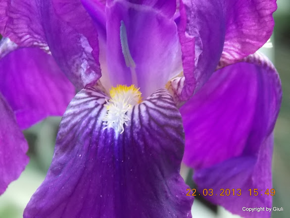 DSCN1471.JPG