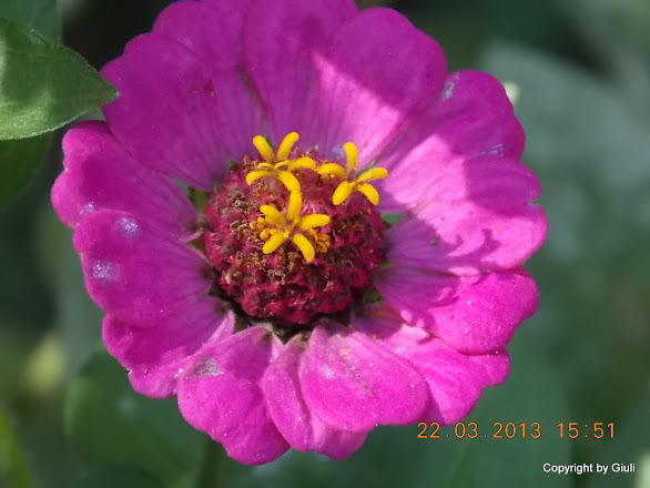 DSCN1483.JPG