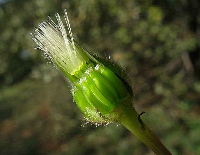 DSCN1484.jpg
