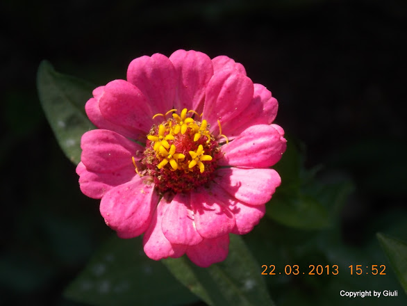 DSCN1485.JPG