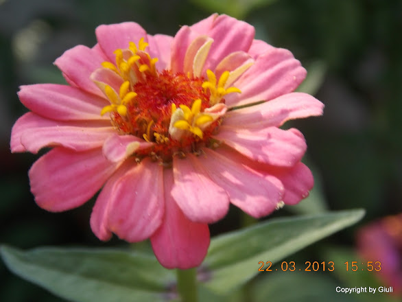 DSCN1489.JPG
