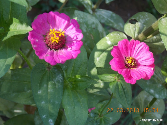 DSCN1490.JPG