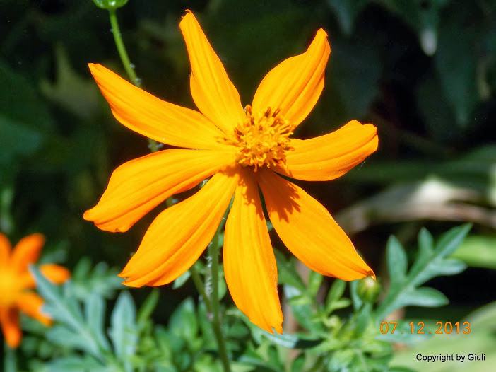 DSCN1490.JPG