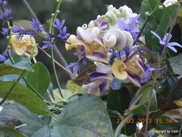 DSCN1492.JPG