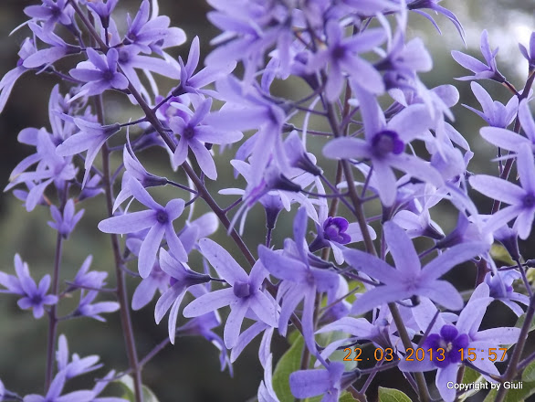 DSCN1494.JPG