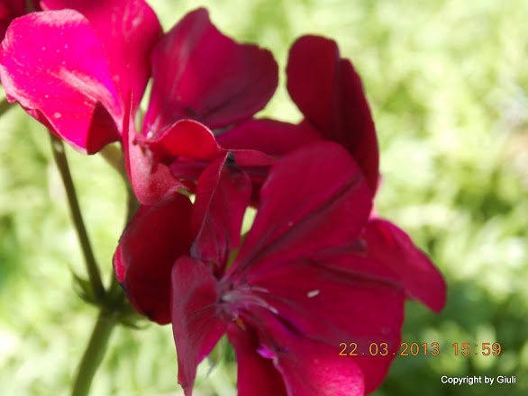 DSCN1495.JPG